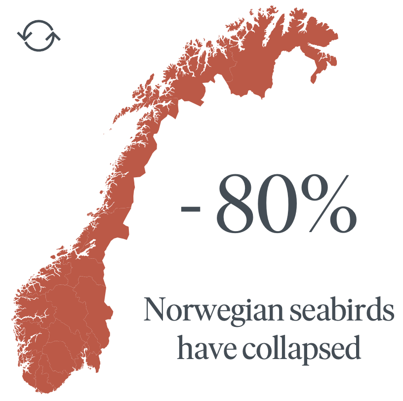 Birds negative development in Norway